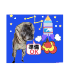 LOVEフレディ（個別スタンプ：30）
