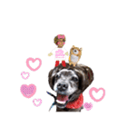 LOVEフレディ（個別スタンプ：32）