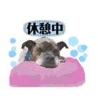 LOVEフレディ（個別スタンプ：34）