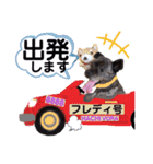 LOVEフレディ（個別スタンプ：35）