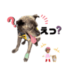 LOVEフレディ（個別スタンプ：38）