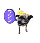 LOVEフレディ（個別スタンプ：39）