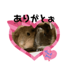 家族が増えたぁ❤（個別スタンプ：2）