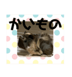 家族が増えたぁ❤（個別スタンプ：3）