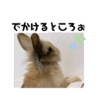 家族が増えたぁ❤（個別スタンプ：8）