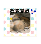 家族が増えたぁ❤（個別スタンプ：14）