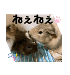 家族が増えたぁ❤（個別スタンプ：21）