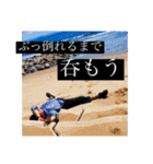 あだぴの幸せを呼ぶスタンプ（個別スタンプ：17）