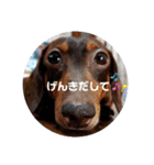 まろさんともんちゃんpart2（個別スタンプ：8）