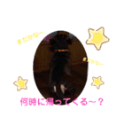 まろさんともんちゃんpart2（個別スタンプ：16）