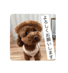 愛しのLunaルーナ（個別スタンプ：3）