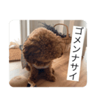 愛しのLunaルーナ（個別スタンプ：4）