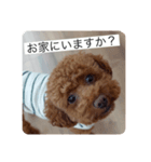 愛しのLunaルーナ（個別スタンプ：6）