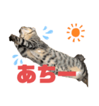 テト＆クー（個別スタンプ：8）