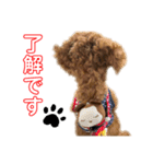 ミルクとナオキ（個別スタンプ：1）