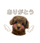 ミルクとナオキ（個別スタンプ：7）