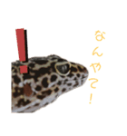 レオパのパルちゃん（個別スタンプ：6）