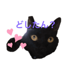 可愛いぬこ//（個別スタンプ：4）