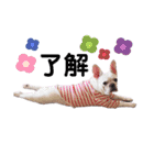 milky♥︎Frenchbulldog（個別スタンプ：4）