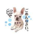 milky♥︎Frenchbulldog（個別スタンプ：6）