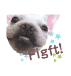 milky♥︎Frenchbulldog（個別スタンプ：11）