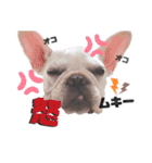 milky♥︎Frenchbulldog（個別スタンプ：12）