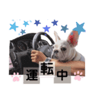 milky♥︎Frenchbulldog（個別スタンプ：17）