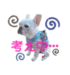 milky♥︎Frenchbulldog（個別スタンプ：18）