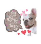 milky♥︎Frenchbulldog（個別スタンプ：23）