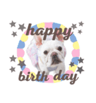 milky♥︎Frenchbulldog（個別スタンプ：24）