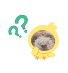 もこみスタンプ（個別スタンプ：15）