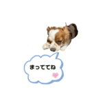 LOVE❤️HANA（個別スタンプ：4）