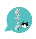 ネコと吹き出し「感嘆符」（個別スタンプ：6）