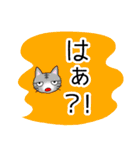 ネコと吹き出し「感嘆符」（個別スタンプ：7）