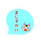 ネコと吹き出し「感嘆符」（個別スタンプ：11）