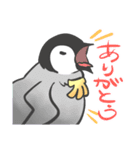 バナナペンギン（個別スタンプ：5）