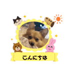 ポメ＆コギーのポン太君♡（個別スタンプ：27）