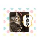 みぃとぅん3（個別スタンプ：10）