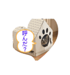 みぃとぅん3（個別スタンプ：13）