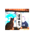 みぃとぅん3（個別スタンプ：14）
