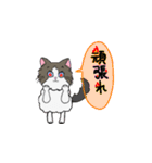 猫好きスタンプパート1（個別スタンプ：5）