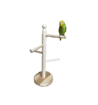 セキセイインコのぺぺさん（個別スタンプ：8）