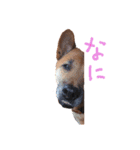 to-ro（個別スタンプ：8）