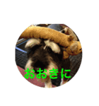 大阪弁スコット（個別スタンプ：2）