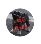 大阪弁スコット（個別スタンプ：5）
