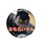大阪弁スコット（個別スタンプ：9）
