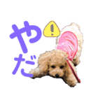 もこスタンプ（日常編）（個別スタンプ：9）