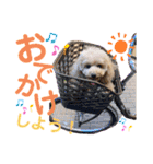 もこスタンプ（日常編）（個別スタンプ：13）