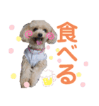 もこスタンプ（日常編）（個別スタンプ：17）