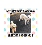 もこスタンプ（日常編）（個別スタンプ：22）